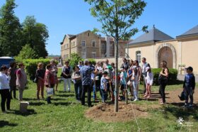 Des arbres offerts par le Rotary Club