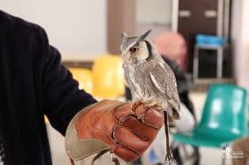 Les chouettes du cœur rendent visite aux résidents des « Vergers de La Chartreuse »